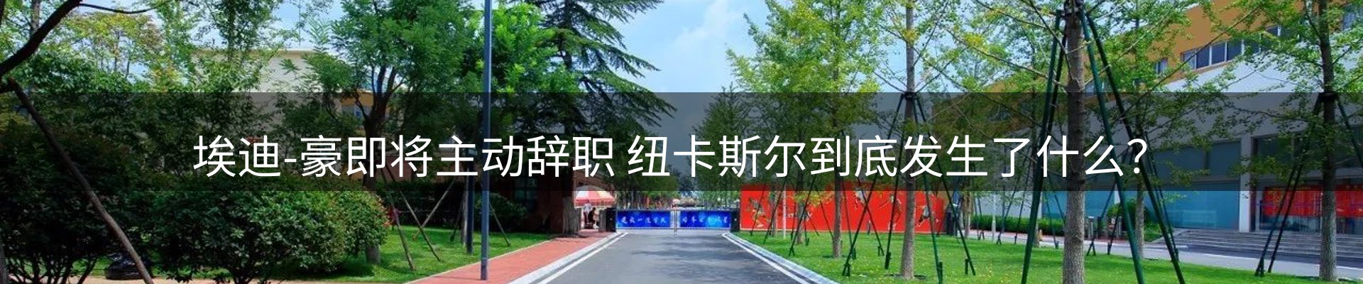 平台资讯