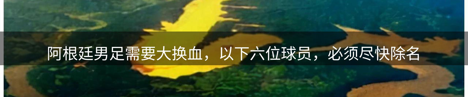 平台资讯