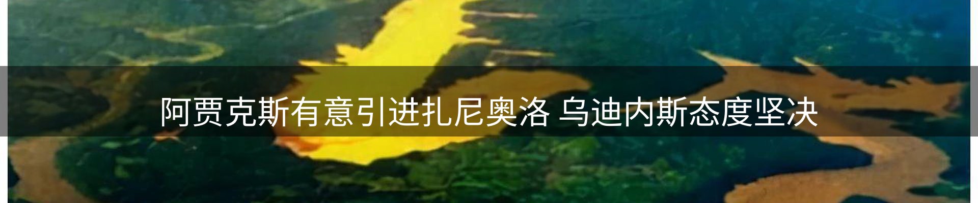 平台资讯