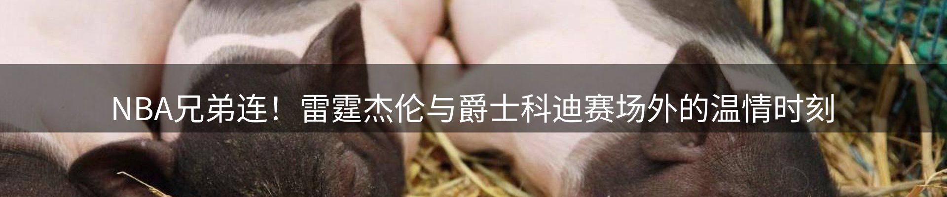 平台资讯